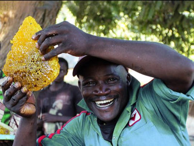 African Honey: Nutritious, Earth-Friendly, and Changing Beekeepers’ Lives