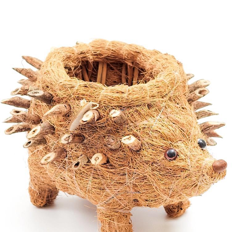 Baby Hedgehog Planter