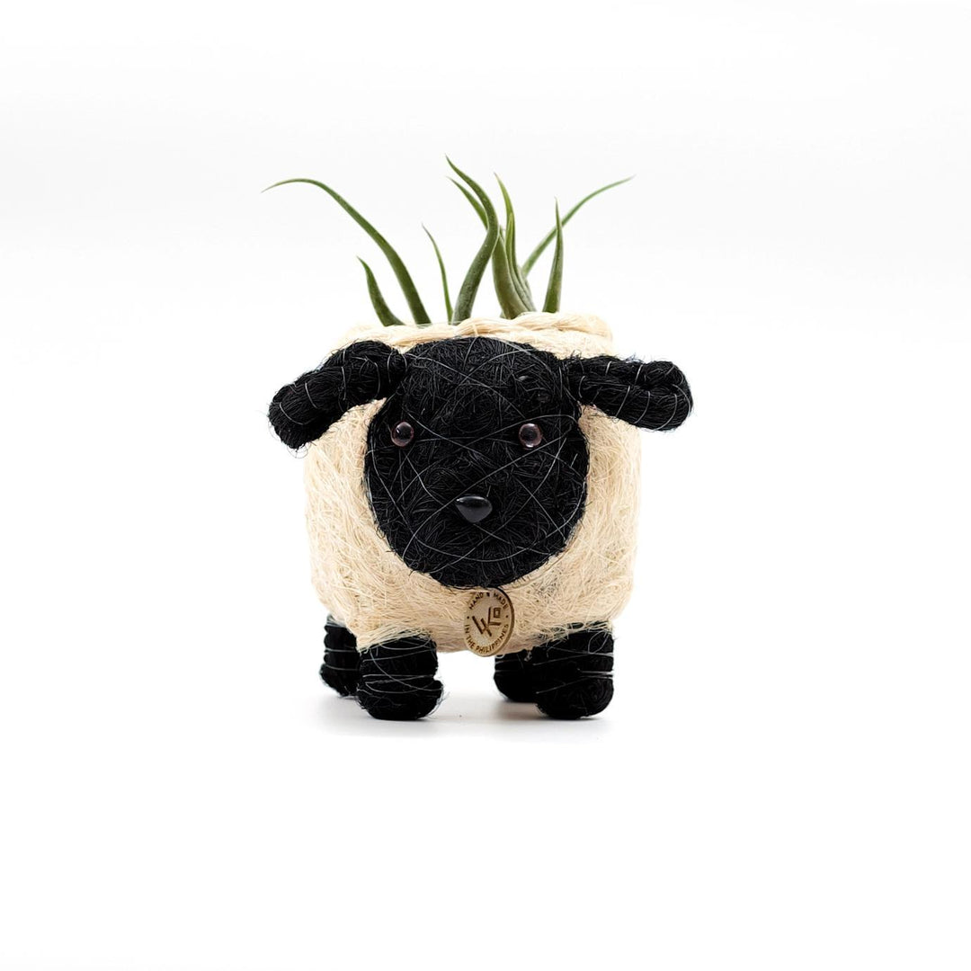 Baby Sheep Planter