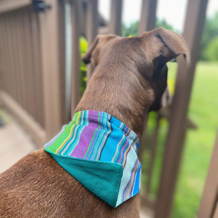 Hand Woven Over the Collar Dog Bandana in Quetzal Jade