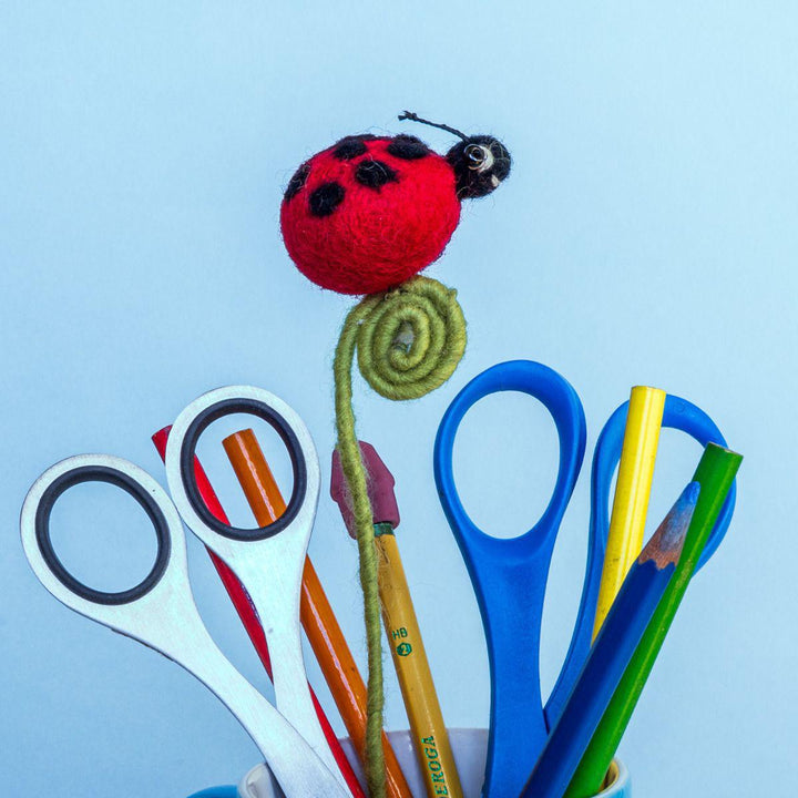 Ladybug Frond Friend