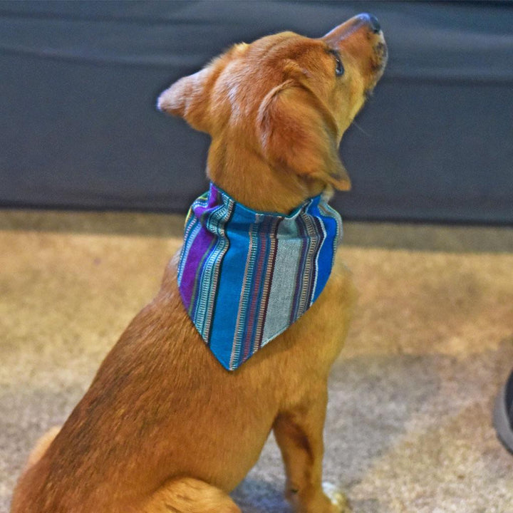 Hand Woven Over the Collar Dog Bandana in Quetzal Jade