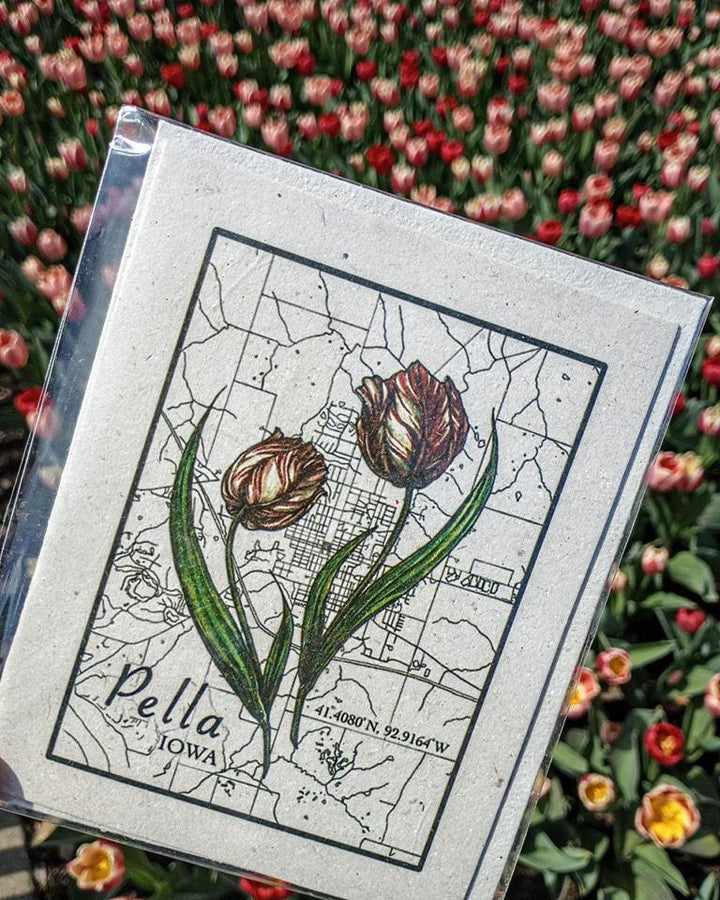 Pella Tulip Mr. Ellie Pooh Card