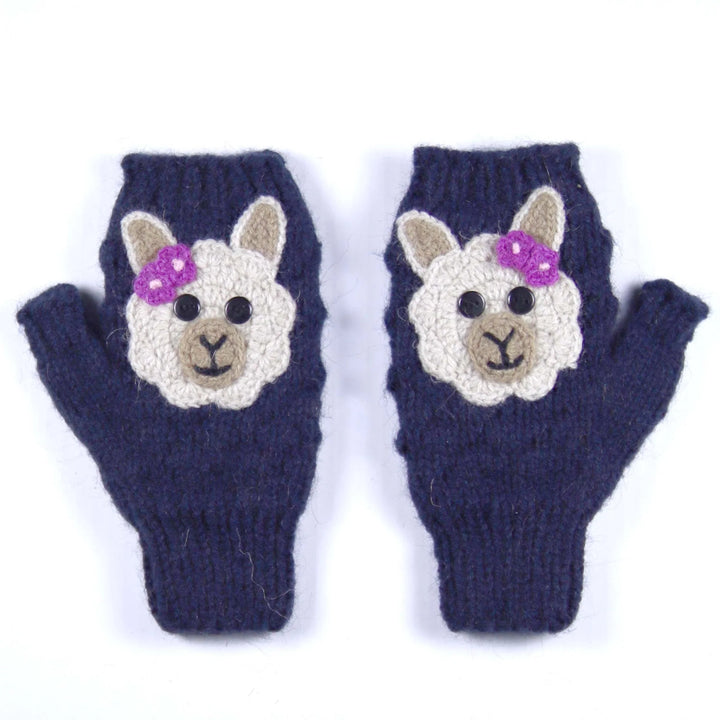 Blue alpaca write warmer on a white background
