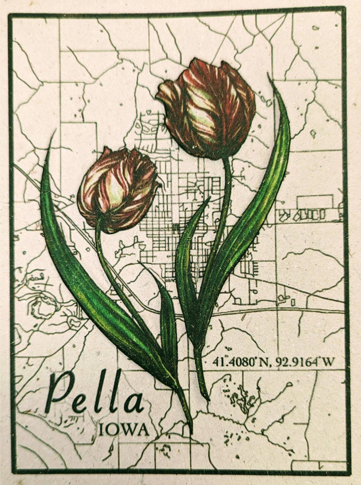 a drawing of a two tulips with a pella, Iowa map