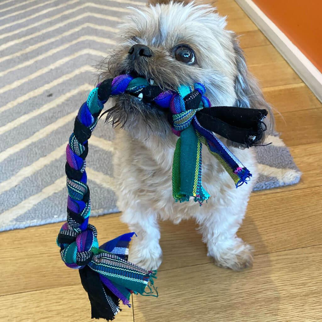 Braided Dog Tug Toy in Night Multi