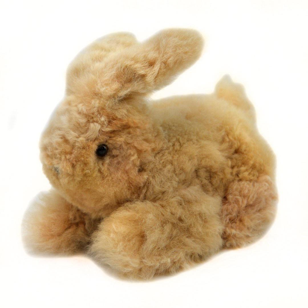 alpaca rabbit on a white background