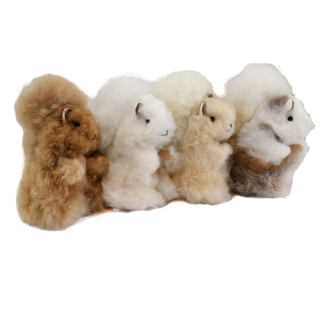 Set of alpaca squirrels on a white background