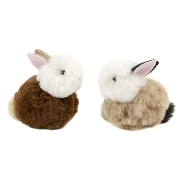 Two alpaca rabbits on a white background