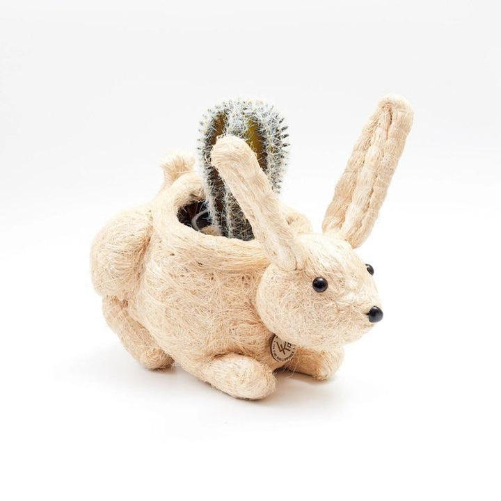 Baby Bunny Planter