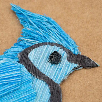 Cornhusk bluejay bird on a brown background