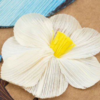 White cornhusk flower with a yellow center on a brown background
