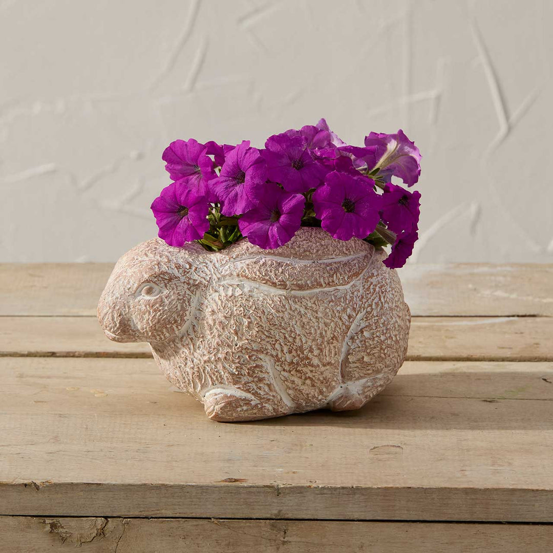 Rabbit-shaped terracotta planter with purple flowers on a wooden surface