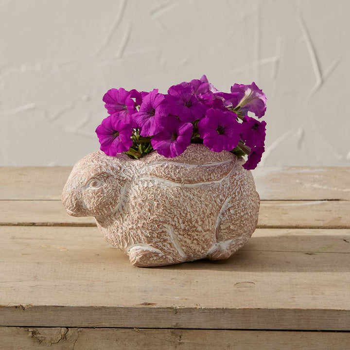 Rabbit-shaped terracotta planter with purple flowers on a wooden surface