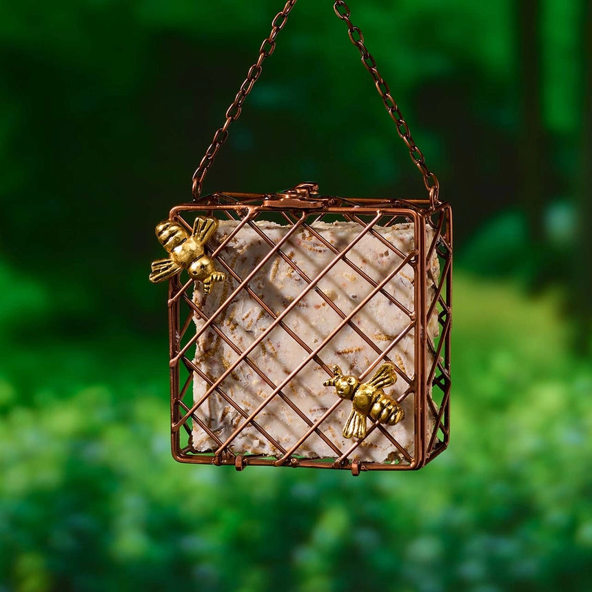 Busy Bee Suet Feeder