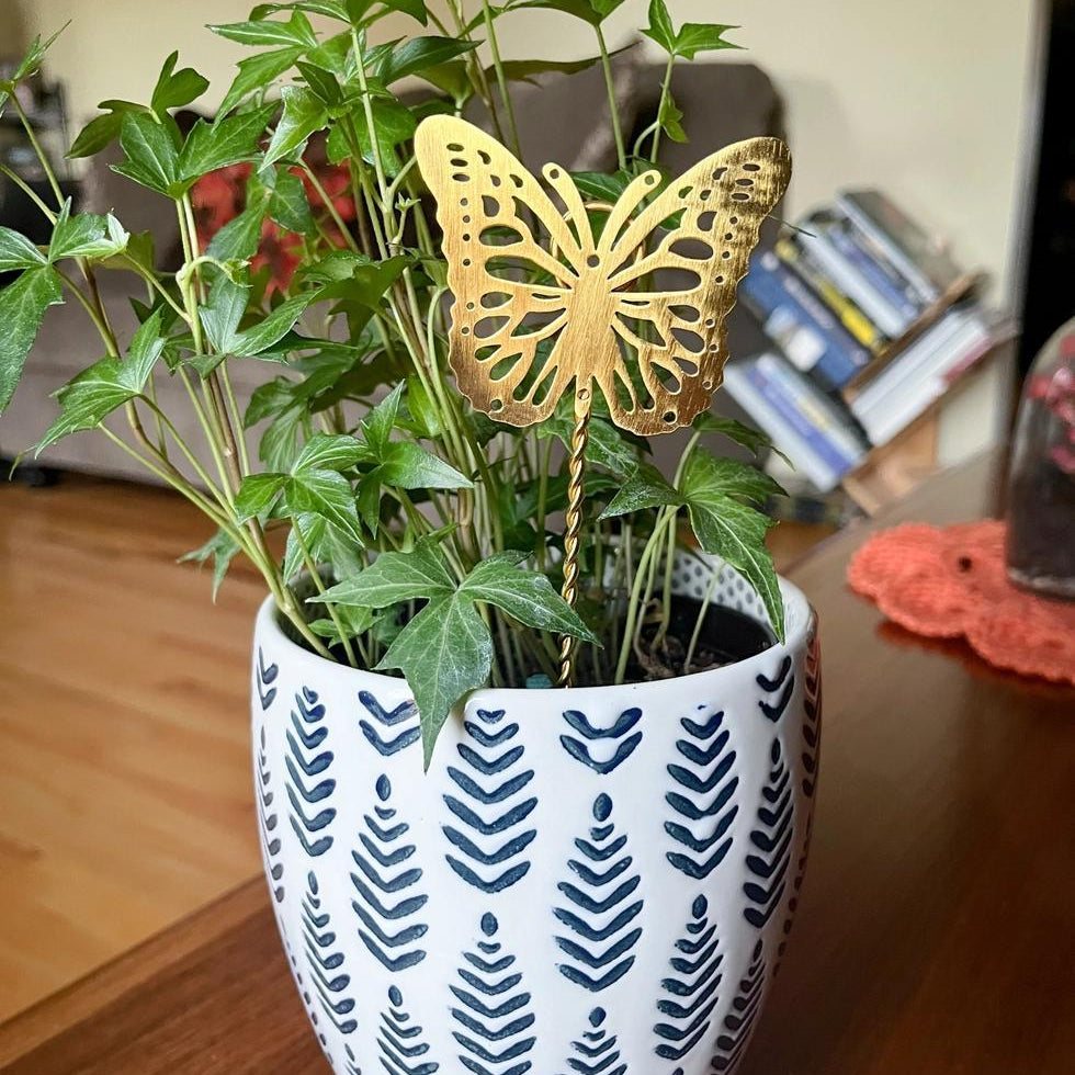 Potted plant with a decorative butterfly stake on a wooden surface