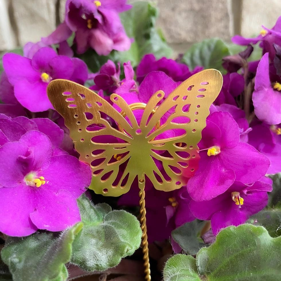 Purple African violet flowers with a decorative gold butterfly stake on a brick wall background