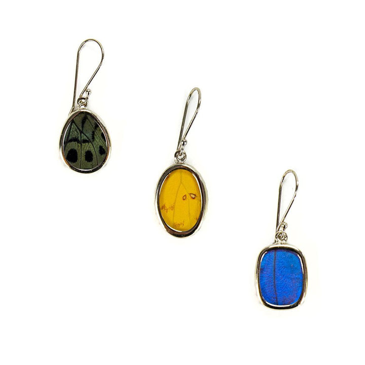 Three earrings with colorful butterfly on a white background