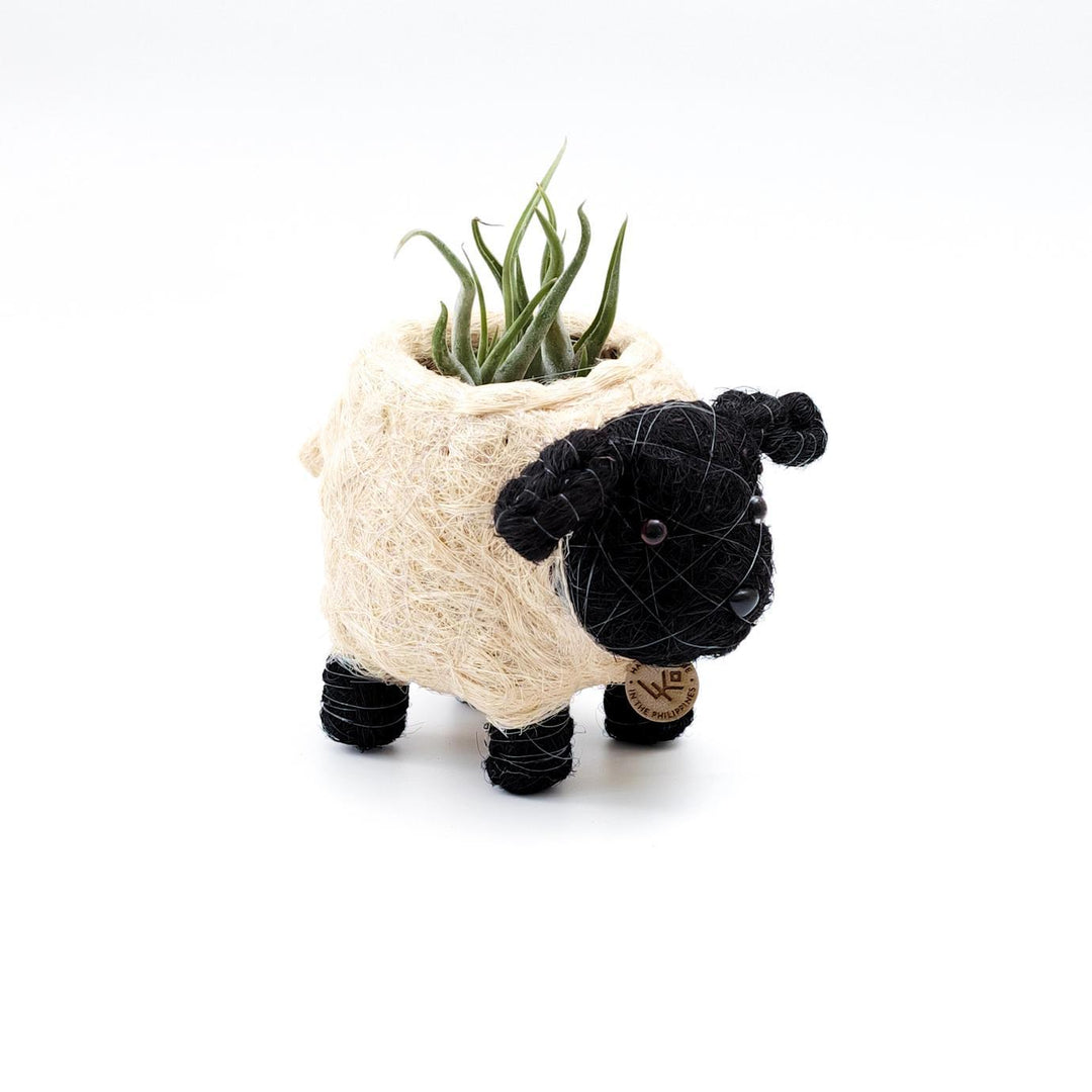 Baby Sheep Planter