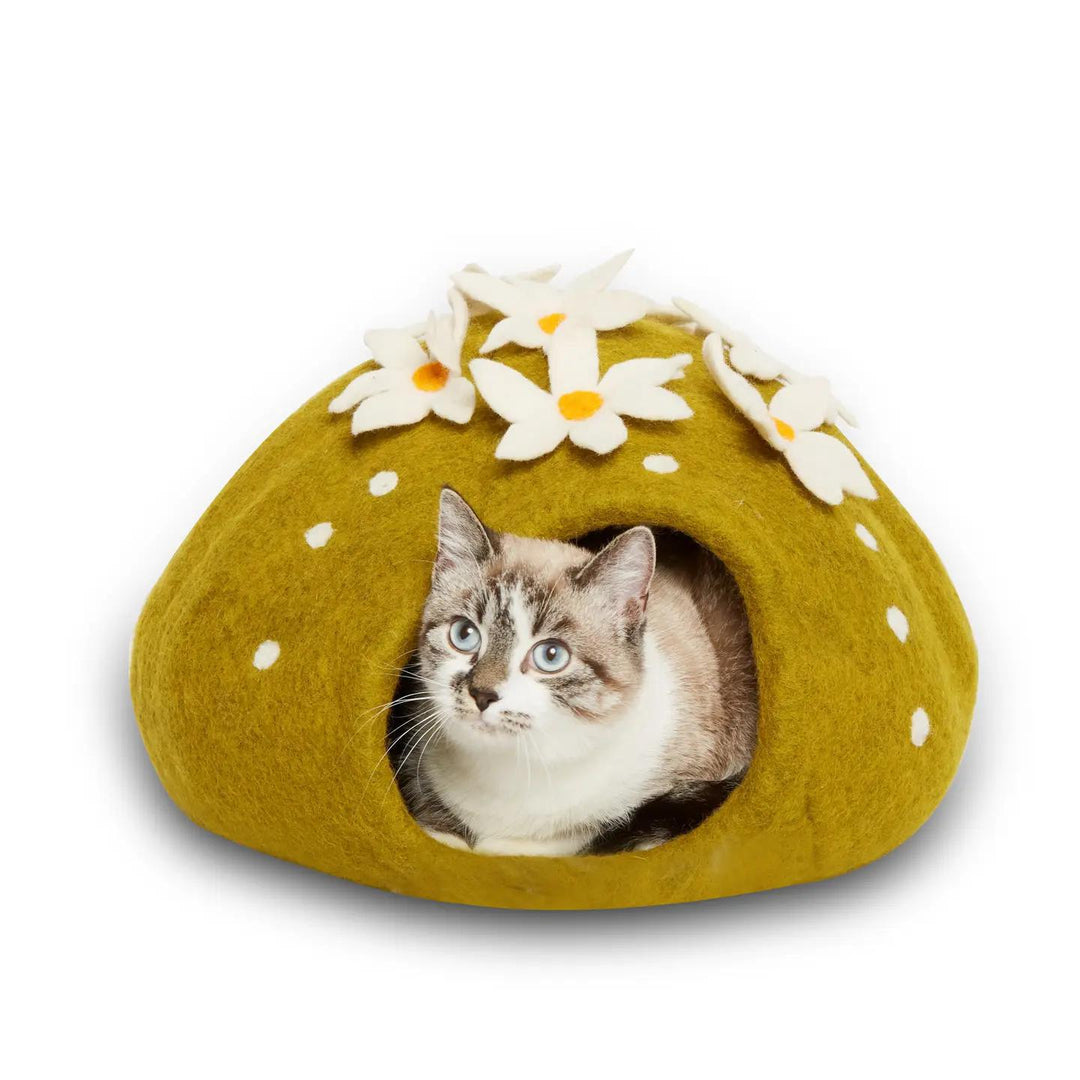 Cat peeking out from a cactus pet cave with white flowers on a white background