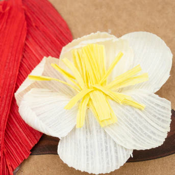 White cornhusk flower with yellow center on a brown background