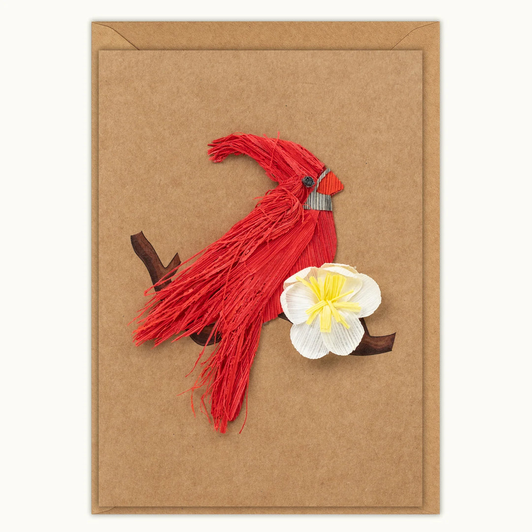 Red cardinal bird with a white flower on a brown background