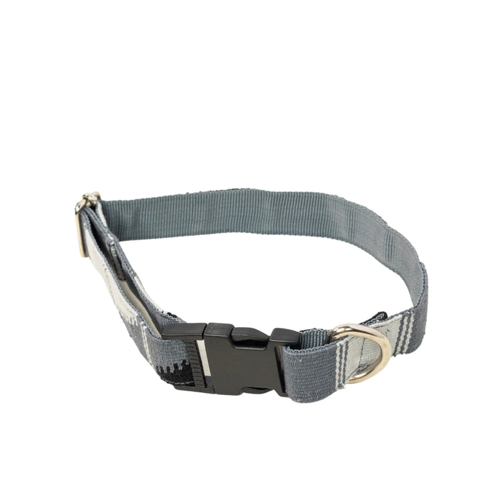 Gray dog collar with a black buckle on a white background