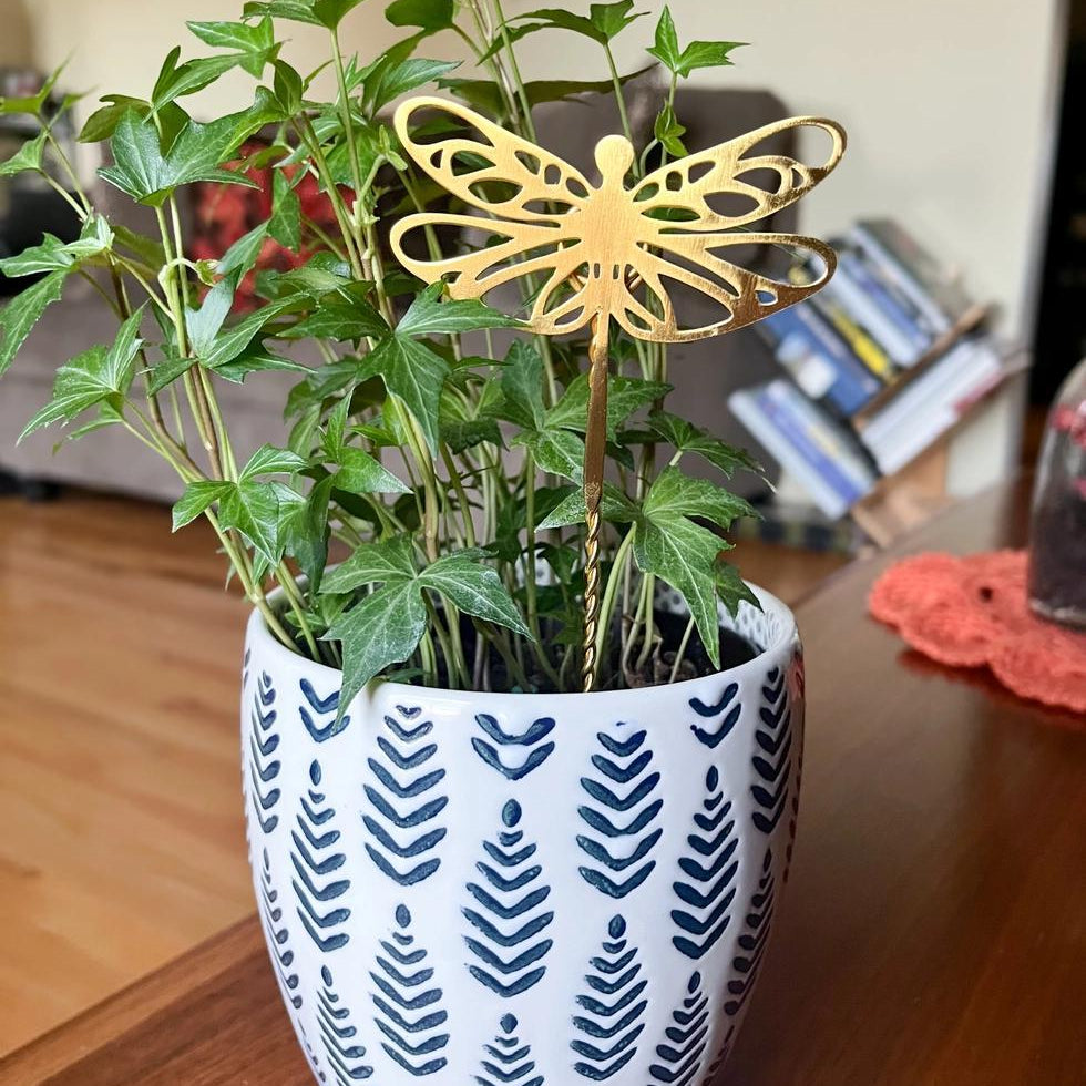 Potted plant with a decorative dragonfly stake on a wooden surface