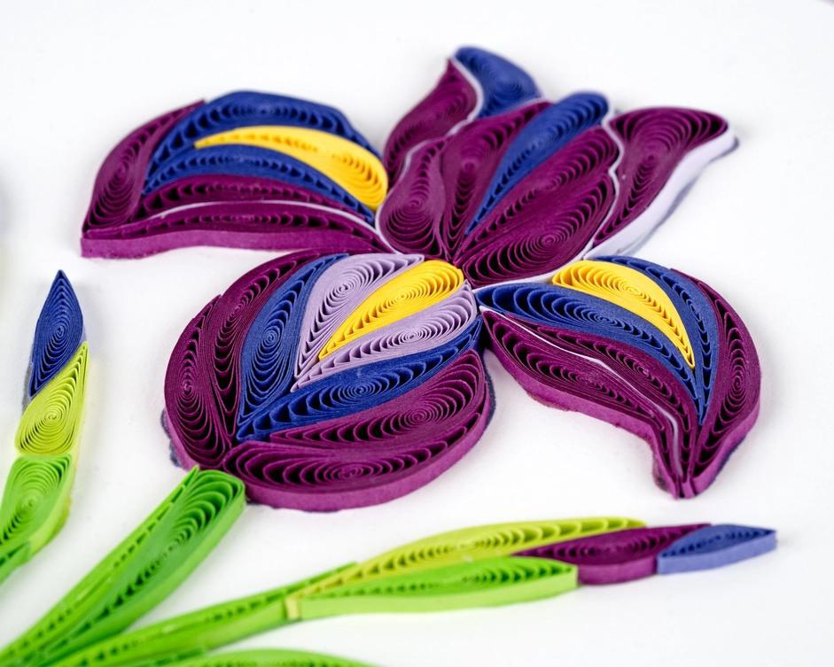 Quilling Card Iris