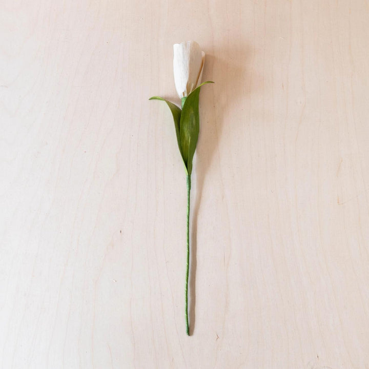 Corn Husk Tulip - Natural