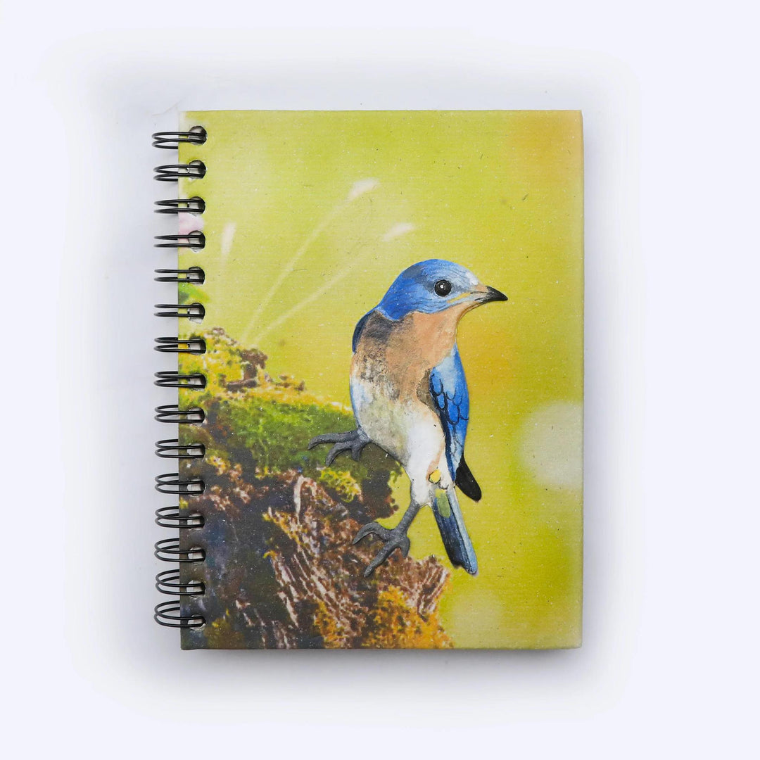 Mr. Ellie pooh notebook with a Eastern bluebird 
