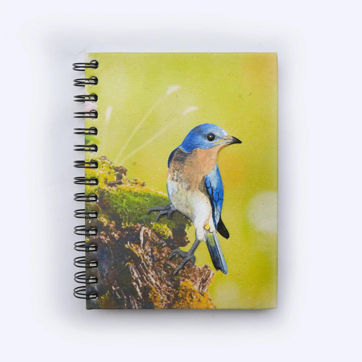 Mr. Ellie pooh notebook with a Eastern bluebird 