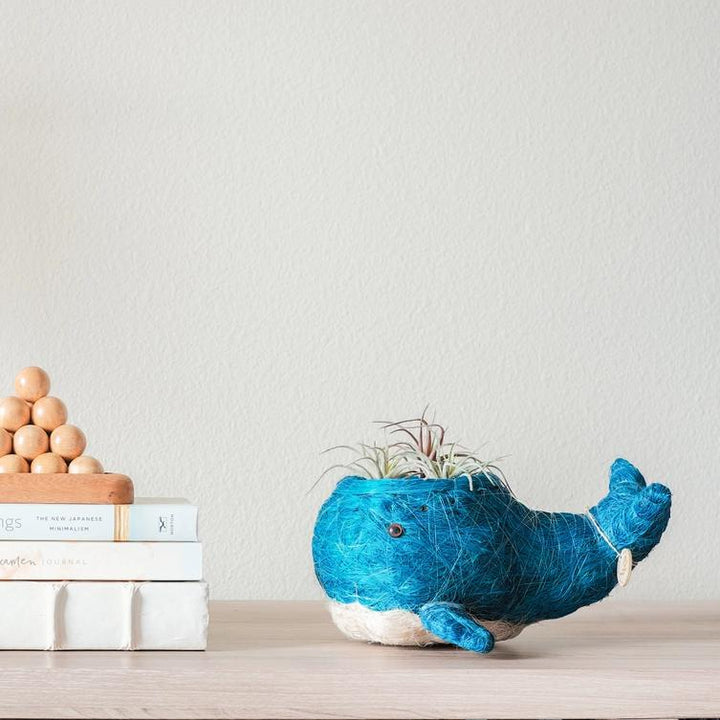 Baby Whale Planter