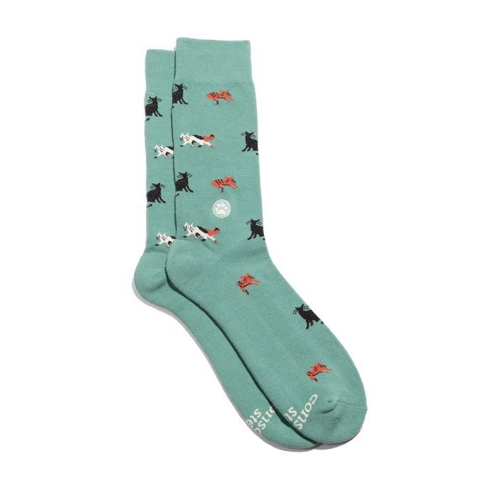 Socks that Save Cats (Teal)