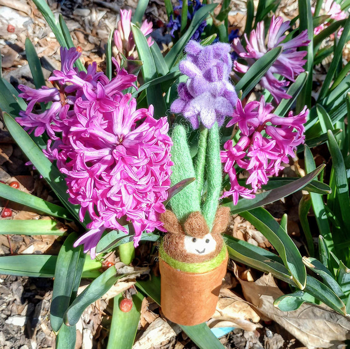 Hyacinth Potted Felt Plant