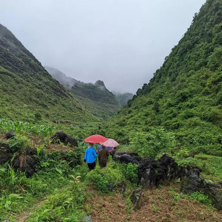 Two people with red and pink umbrellas walking through a lush green valley with misty mountains.