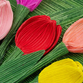 Colorful cornhusk tulips on a green leaf background