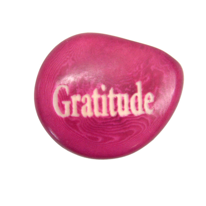 Tagua Seed of Wisdom