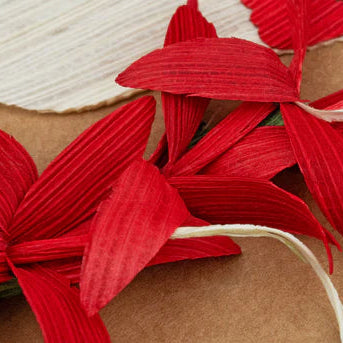 Red cornhusk flowers on a brown surface