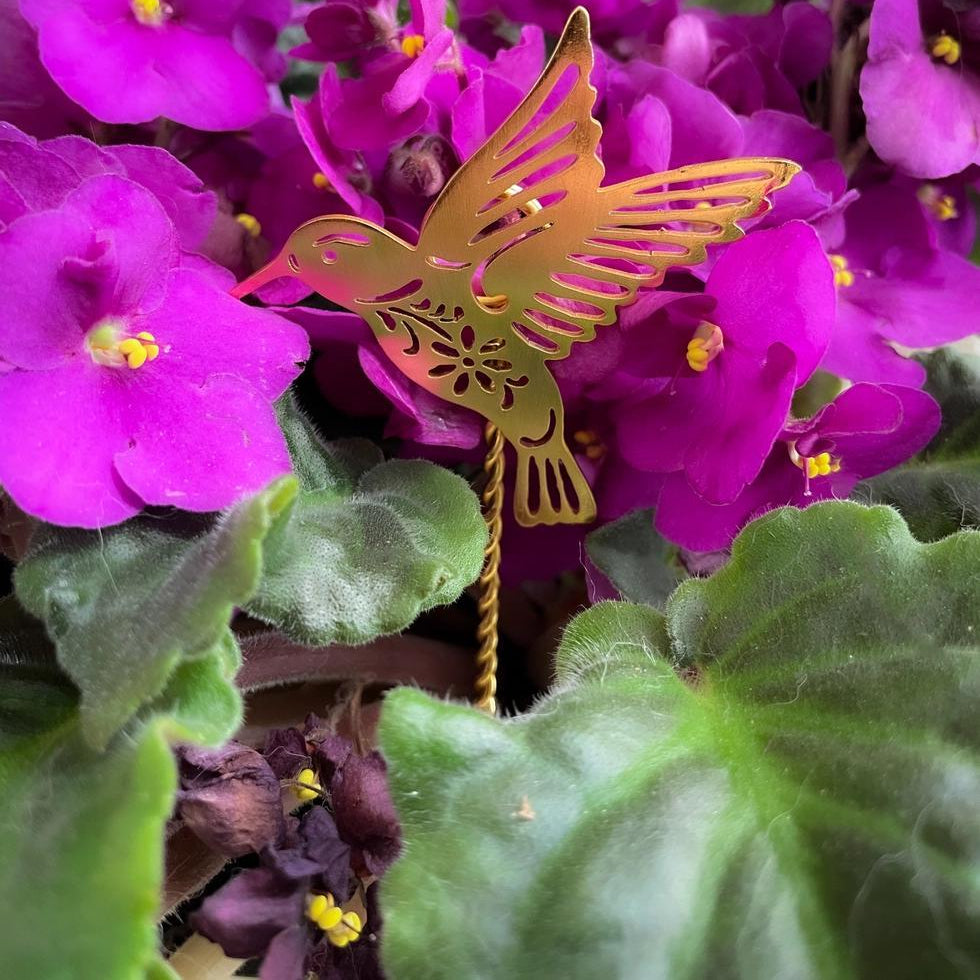 Purple African violet flowers with a decorative hummingbird plant stake.
