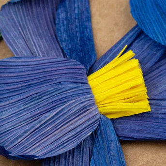 Blue cornhusk flower with a yellow center on a brown background