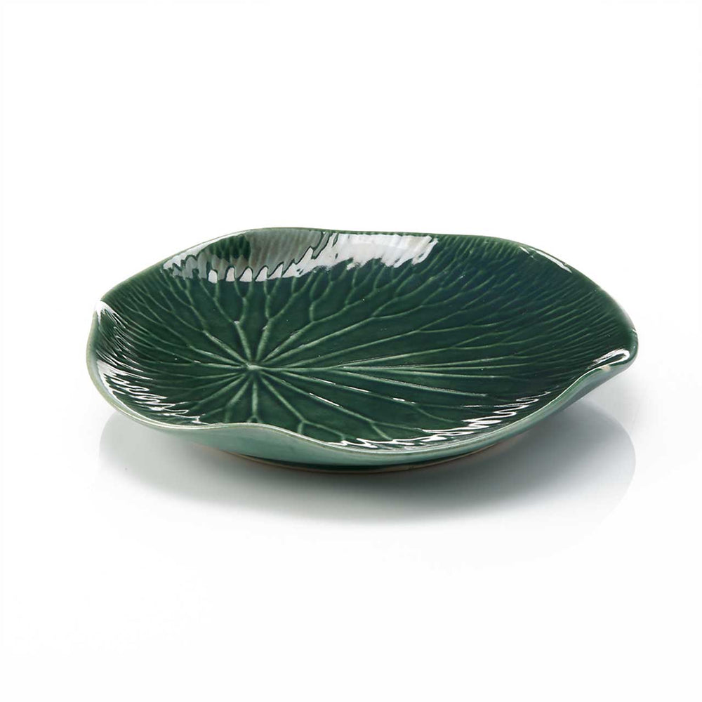 Green ceramic leaf-shaped plate on a white background