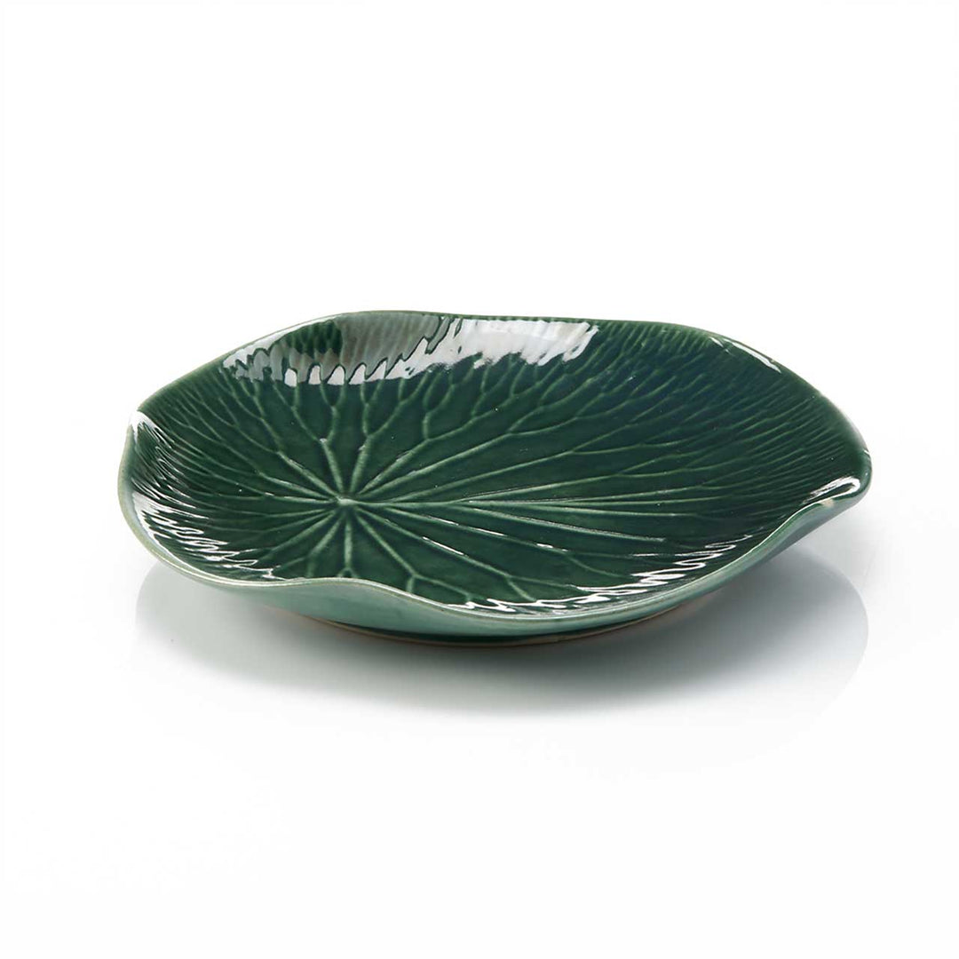 Green ceramic leaf-shaped plate on a white background
