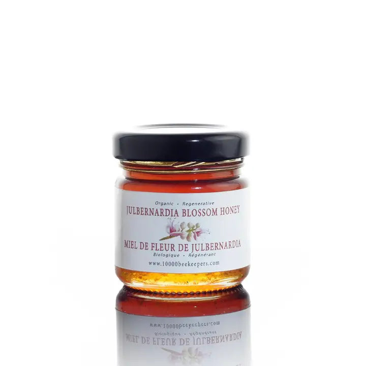 mini jar of julbernardia blossom honey on a white background