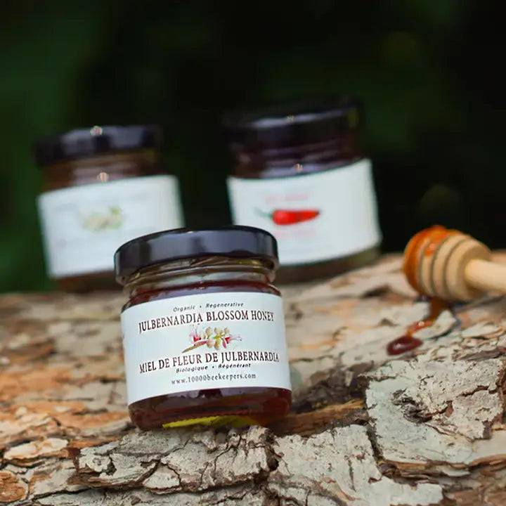 mini jar of julberardia blossom honey sitting on bark with a honey dipper and two other jars of honey