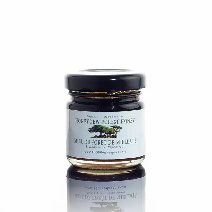mini jar of honeydew forest honey on a white background