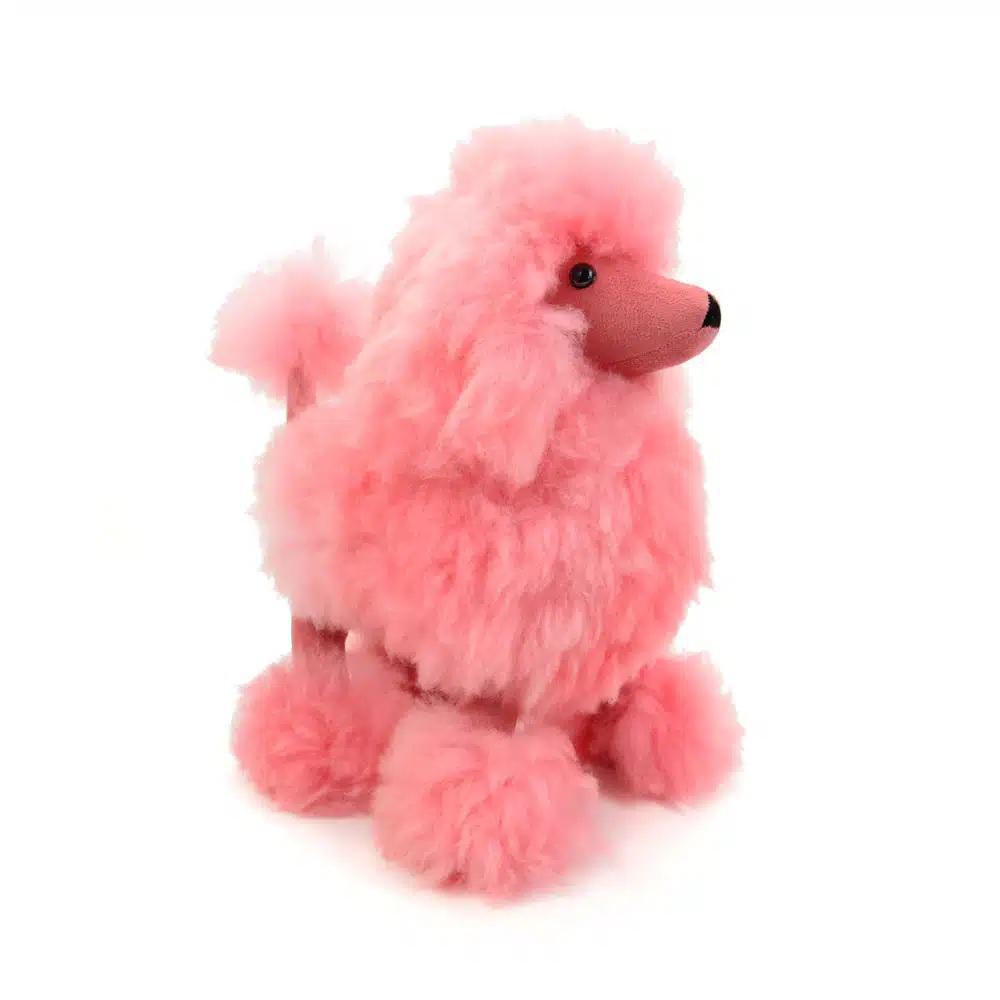 Pink alpaca poodle on a white background