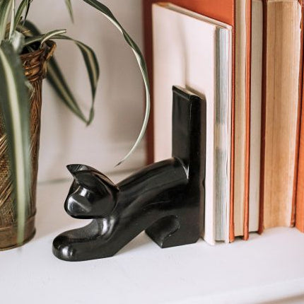 Black cat-shaped bookend holding books on a shelf with a plant in the background