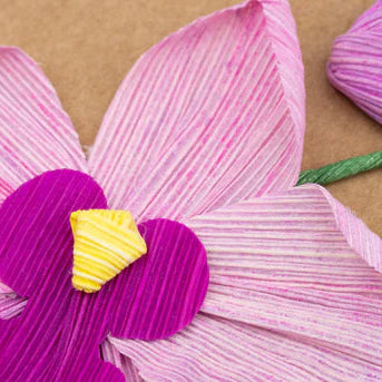 Cornhusk flower with pink and purple petals on a brown background