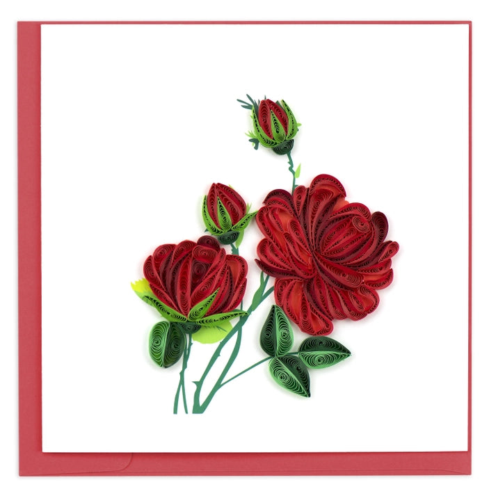 red quilled roses with green leaves on a white background
